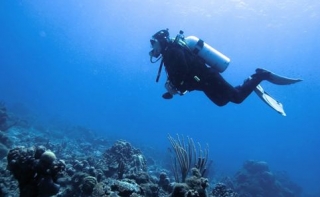 Underwater 